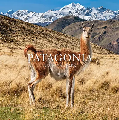 Parc national de Patagonie : Chili : Chili - Patagonia National Park: Chile: Chile