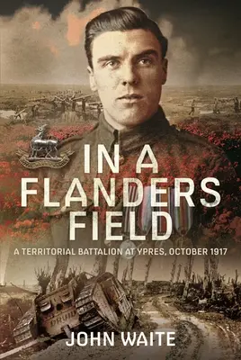 Dans un champ de Flandres : Un bataillon territorial à Ypres, octobre 1917 - In a Flanders Field: A Territorial Battalion at Ypres, October 1917