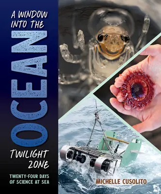 Une fenêtre sur la zone crépusculaire de l'océan : vingt-quatre jours de science en mer - A Window Into the Ocean Twilight Zone: Twenty-Four Days of Science at Sea