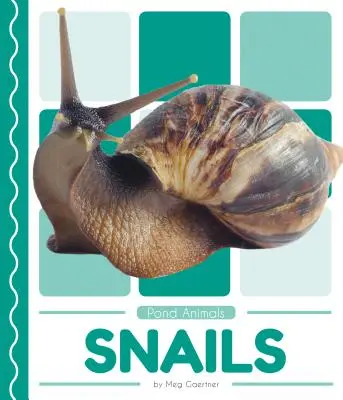 Escargots - Snails