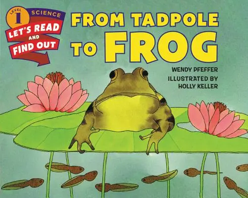 Du têtard à la grenouille - From Tadpole to Frog