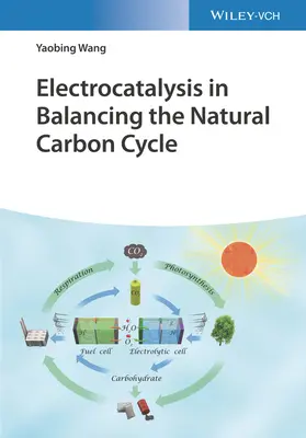 L'électrocatalyse pour équilibrer le cycle naturel du carbone - Electrocatalysis in Balancing the Natural Carbon Cycle