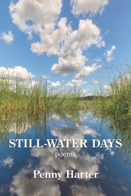 Les jours d'eau calme - Still-Water Days