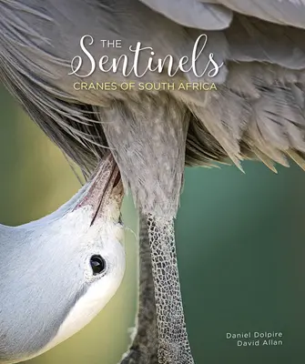 Les Sentinelles : Les grues d'Afrique du Sud - The Sentinels: Cranes of South Africa