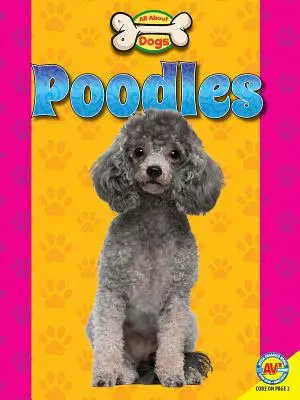 Caniches - Poodles