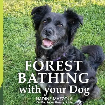 Le bain de forêt avec votre chien - Forest Bathing with your Dog
