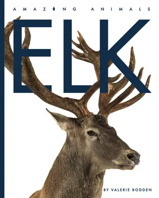 Elan - Elk