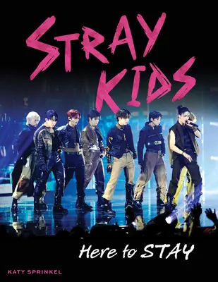 Stray Kids : Here to Stay (Les enfants errants sont là pour rester) - Stray Kids: Here to Stay