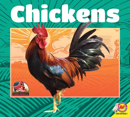 Poulets - Chickens