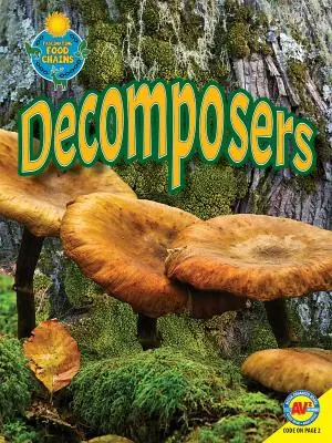 Décomposeurs - Decomposers