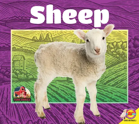 Le mouton - Sheep