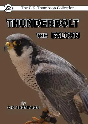 Le faucon Thunderbolt - Thunderbolt the Falcon