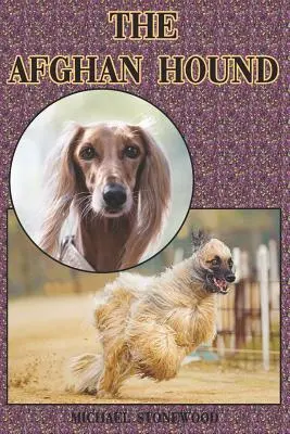 Le Chien Afghan : Un guide complet et détaillé pour les débutants : L'achat, la possession, la santé, le toilettage, le dressage, l'obéissance, la compréhension - The Afghan Hound: A Complete and Comprehensive Beginners Guide To: Buying, Owning, Health, Grooming, Training, Obedience, Understanding