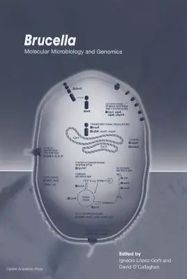 Brucella : Microbiologie moléculaire et génomique - Brucella: Molecular Microbiology and Genomics