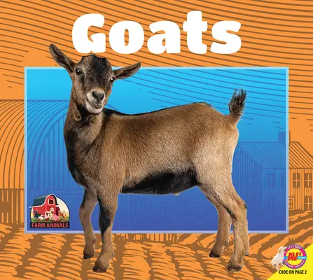 Chèvres - Goats