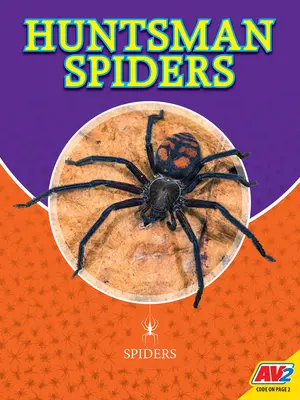 Araignées Huntsman - Huntsman Spiders