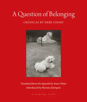 Une question d'appartenance : Crnicas - A Question of Belonging: Crnicas