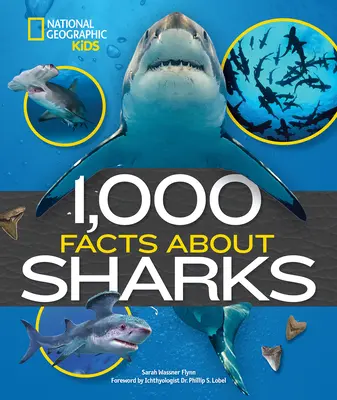 1 000 faits sur les requins - 1,000 Facts about Sharks
