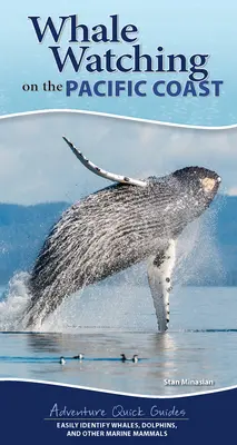 Observation des baleines sur la côte pacifique : Identifier facilement les baleines, les dauphins et autres mammifères marins - Whale-Watching on the Pacific Coast: Easily Identify Whales, Dolphins, and Other Marine Mammals