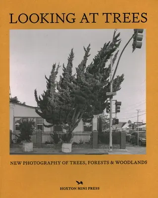 Regarder les arbres - Looking At Trees