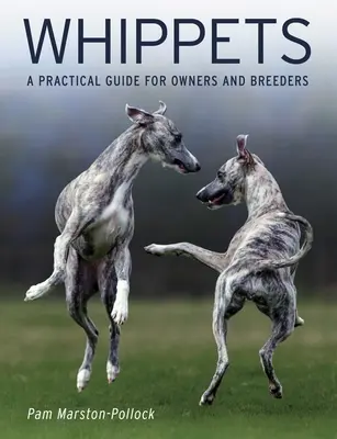 Whippets