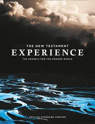 L'expérience du Nouveau Testament : Les Évangiles pour le monde moderne - The New Testament Experience: The Gospels for the Modern World
