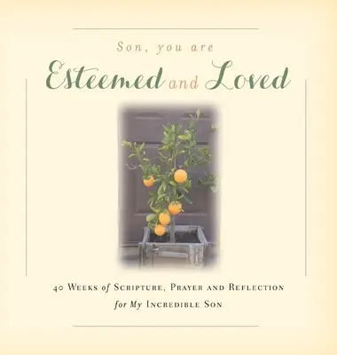 Fils, tu es estimé et aimé : 40 semaines d'Écritures, de prière et de réflexion pour mon fils incroyable - Son, You are Esteemed and Loved: 40 Weeks of Scripture, Prayer and Reflection for My Incredible Son