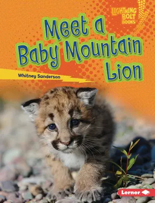 Rencontre avec un bébé lion de montagne - Meet a Baby Mountain Lion