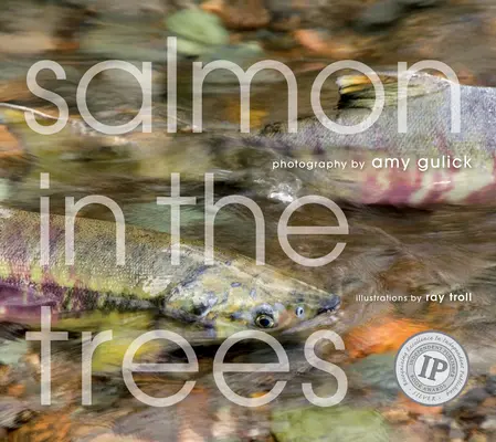Le saumon dans les arbres : La vie dans la forêt tropicale de Tongass en Alaska [Avec CD (Audio)] - Salmon in the Trees: Life in Alaska's Tongass Rain Forest [With CD (Audio)]