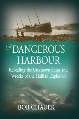 Le port dangereux : Révéler les navires et les épaves inconnus de l'explosion d'Halifax - The Dangerous Harbour: Revealing the Unknown Ships and Wrecks of the Halifax Explosion