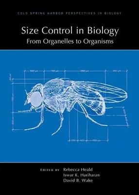 Le contrôle de la taille en biologie : Des organites aux organismes - Size Control in Biology: From Organelles to Organisms