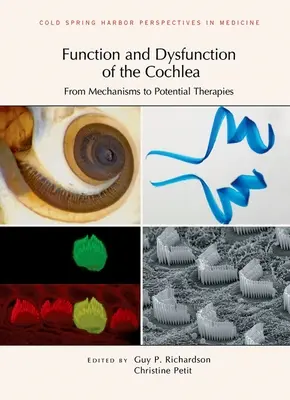 Fonction et dysfonctionnement de la cochlée : Des mécanismes aux thérapies potentielles - Function and Dysfunction of the Cochlea: From Mechanisms to Potential Therapies