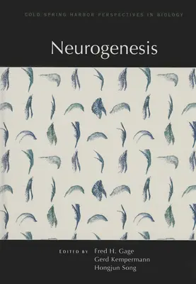 Neurogenèse - Neurogenesis