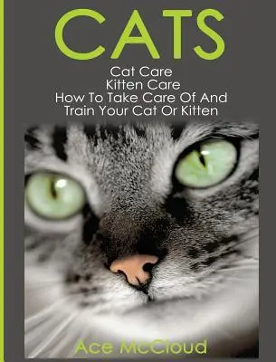 Chats : Soins du chat : Soins du chaton : Comment prendre soin de votre chat ou chaton et le dresser - Cats: Cat Care: Kitten Care: How To Take Care Of And Train Your Cat Or Kitten