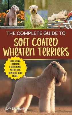 Le guide complet du Wheaten Terrier à poil doux : Trouver, préparer, élever, dresser, nourrir, socialiser et aimer votre nouveau Wheaten Terrier. - The Complete Guide to Soft Coated Wheaten Terriers: Finding, Preparing for, Raising, Training, Feeding, Socializing, and Loving Your New Wheaten Terri