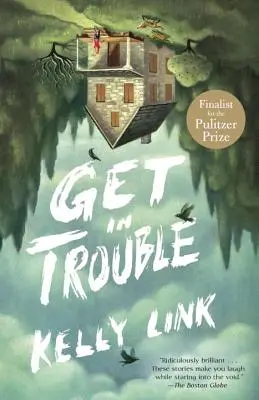 Les ennuis de la vie : Histoires - Get in Trouble: Stories
