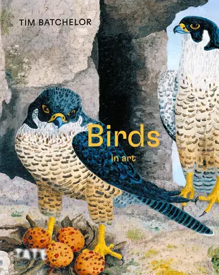 Oiseaux - Birds