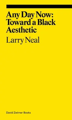 Any Day Now : Vers une esthétique noire - Any Day Now: Toward a Black Aesthetic