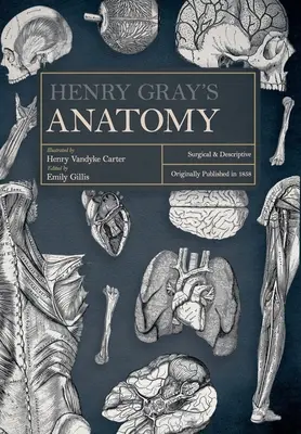 L'anatomie de Henry Gray : chirurgicale et descriptive - Henry Gray's Anatomy: Surgical and Descriptive