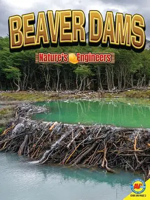 Barrages de castors - Beaver Dams