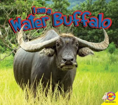 Je suis un buffle d'eau - I Am a Water Buffalo