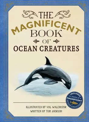 Le magnifique livre des créatures de l'océan - The Magnificent Book of Ocean Creatures