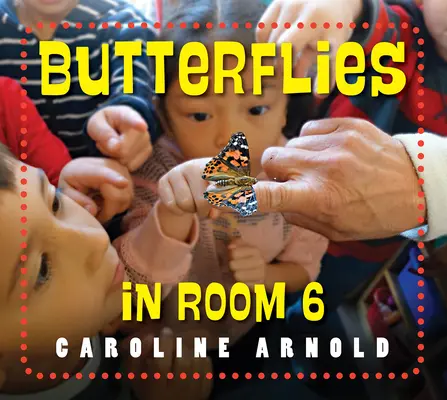 Papillons dans la chambre 6 : Voyez comment ils grandissent - Butterflies in Room 6: See How They Grow