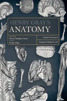 L'anatomie de Henry Gray : chirurgicale et descriptive - Henry Gray's Anatomy: Surgical and Descriptive