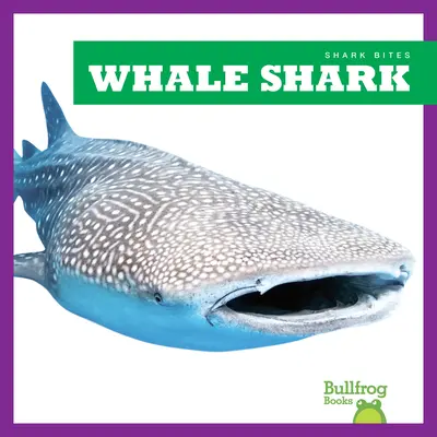 Requin-baleine - Whale Shark