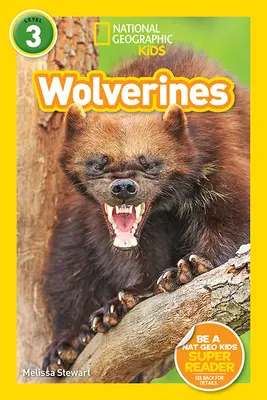 National Geographic Readers : Wolverines - National Geographic Readers: Wolverines