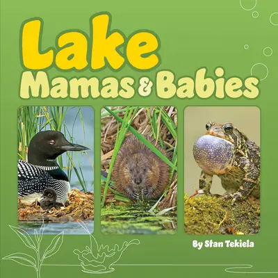 Les mamans et les bébés du lac - Lake Mamas & Babies