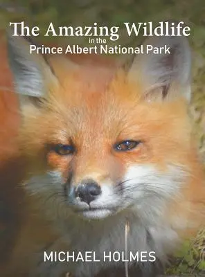 La faune étonnante du parc national de Prince Albert - The Amazing Wildlife in the Prince Albert National Park