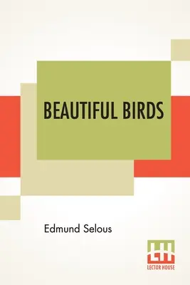 De beaux oiseaux - Beautiful Birds